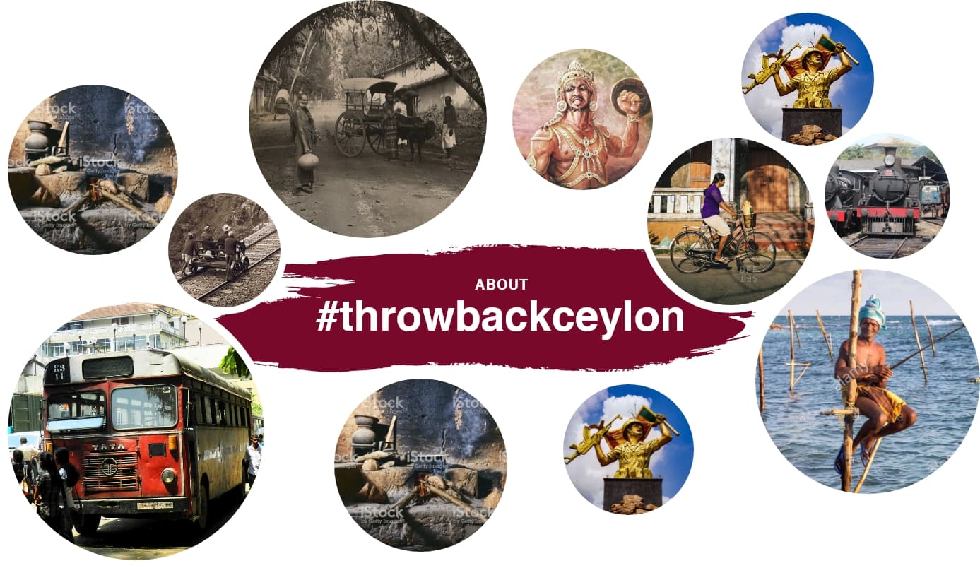 Group-10608 Throwback Ceylon