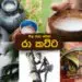 පැණි රහට මත්වෙන්න, මල තලා බොන රා කට්ට